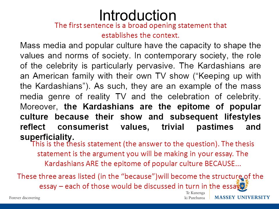 Mass Media and Popular Culture Essay Sample